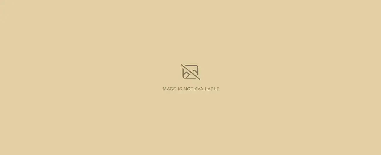Feature image